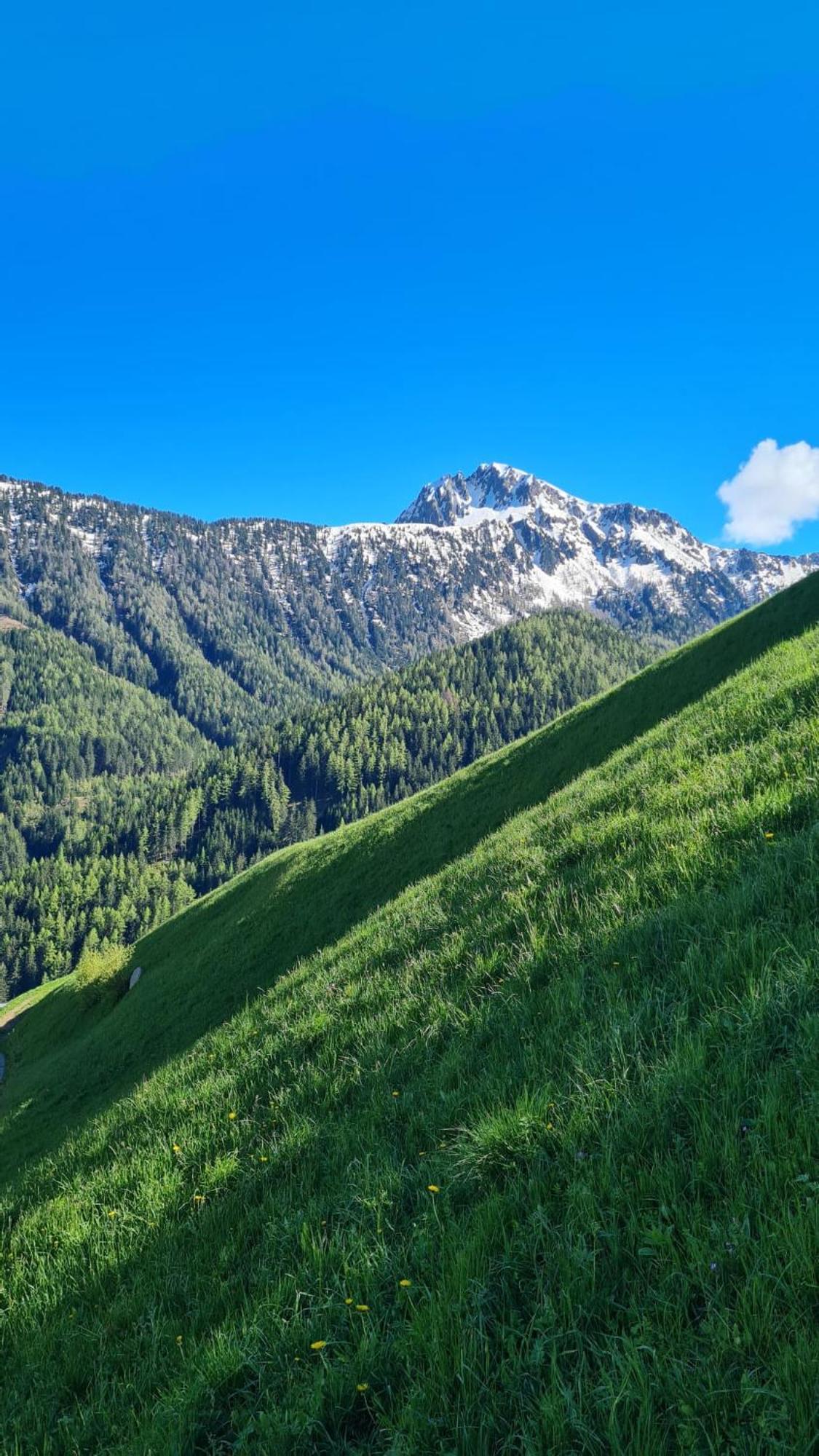 Gasserhof Campo di Trens Exterior photo